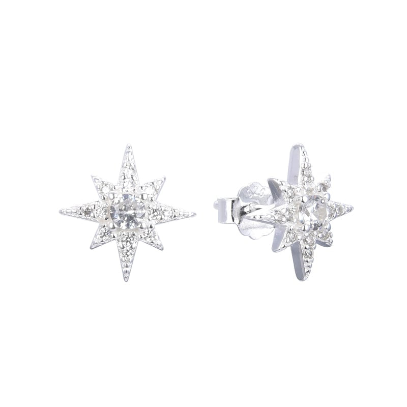Silver925 earrings- SHINE