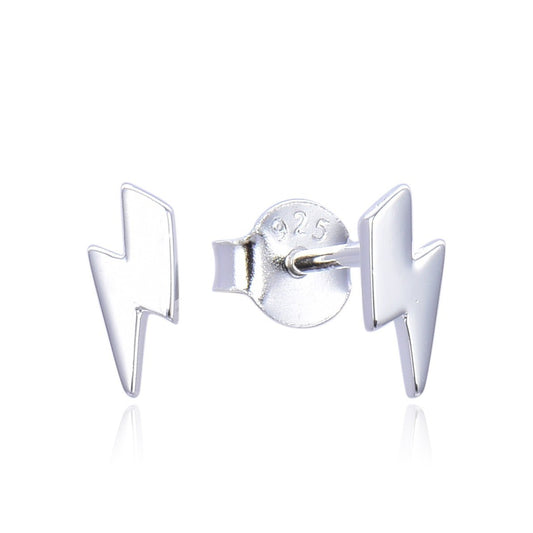 Silver925 earrings-DIANA